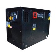Warrior LDG12S 11 kW / 13.5 kVA Electric Start Diesel Standby Generator