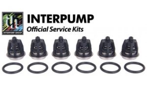 Valve Kit for Interpump WS201